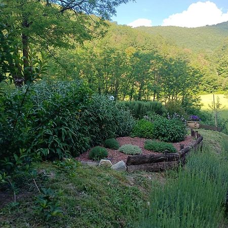 Locanda Di Alberi Borgo San Lorenzo Zewnętrze zdjęcie