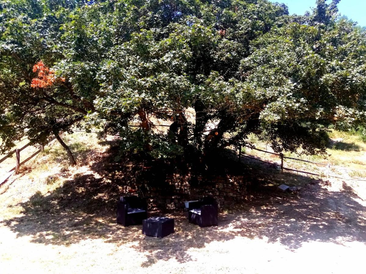 Locanda Di Alberi Borgo San Lorenzo Zewnętrze zdjęcie