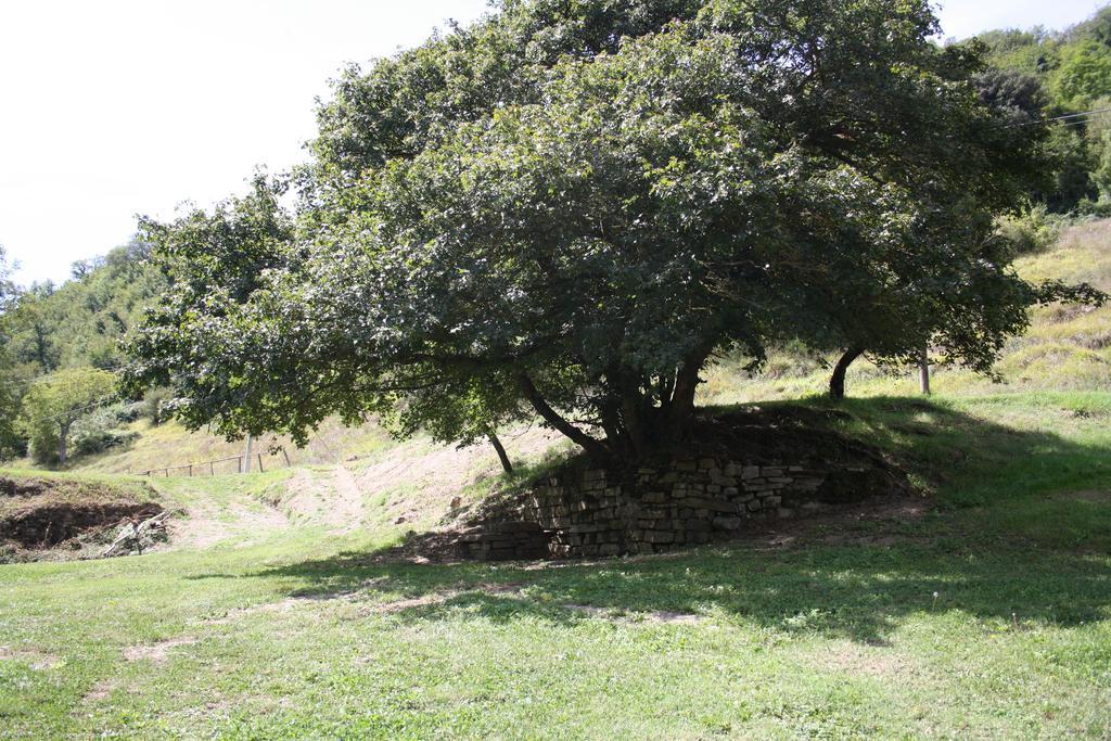 Locanda Di Alberi Borgo San Lorenzo Zewnętrze zdjęcie