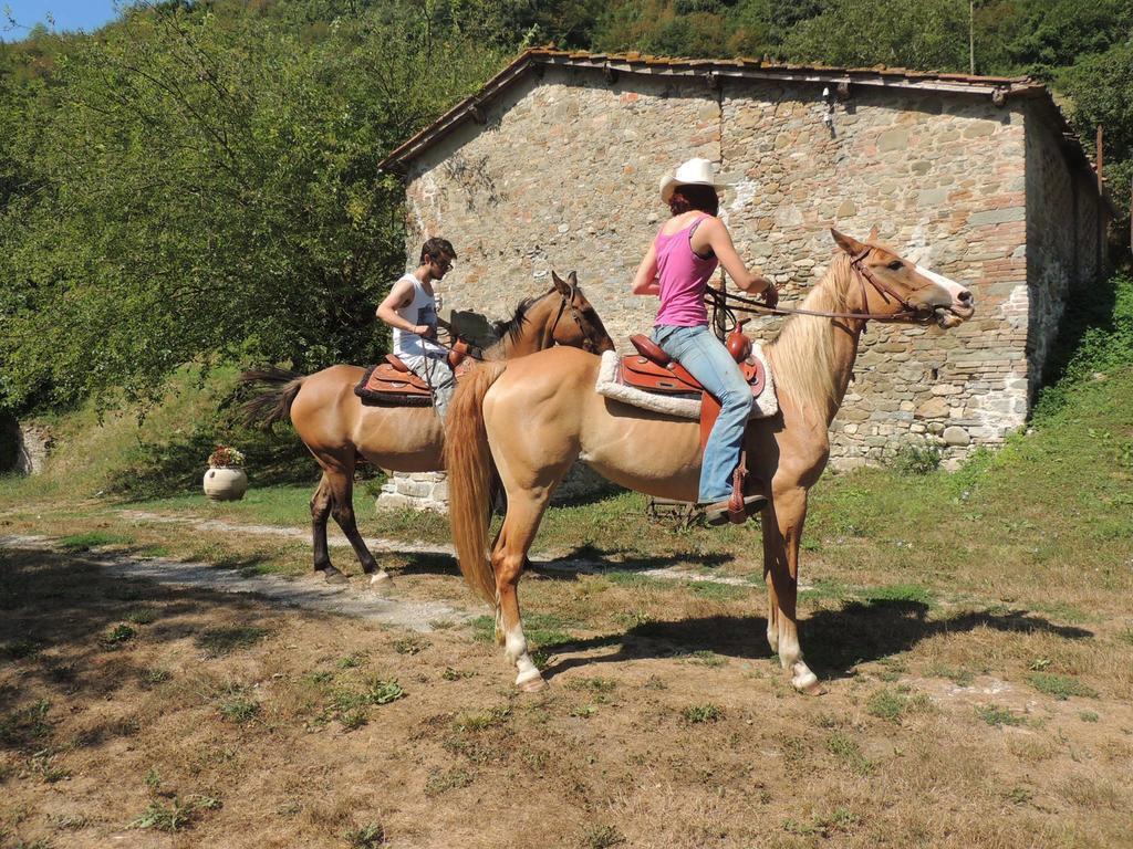 Locanda Di Alberi Borgo San Lorenzo Zewnętrze zdjęcie